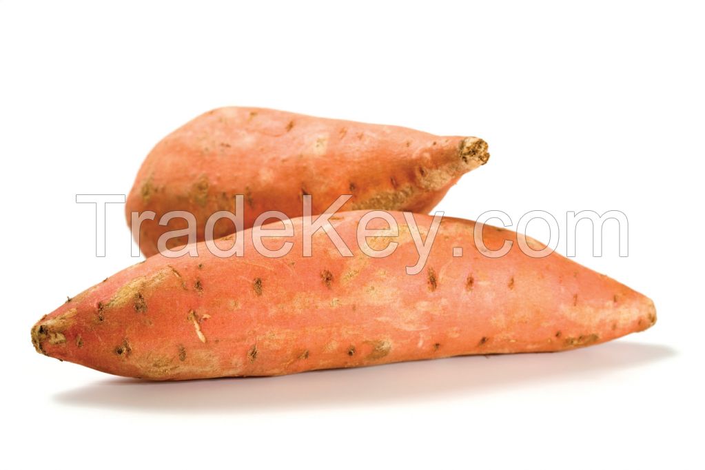 Fresh organic sweet potatoes for healthy meals and snacks