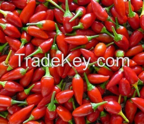 Birds Eye Chilli