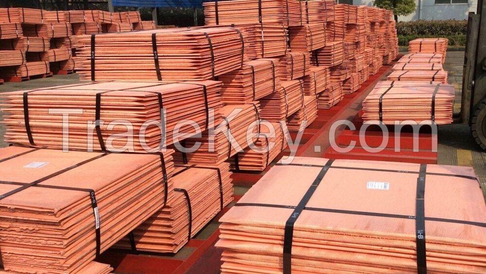 Copper Cathode