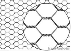 Hexagonal wire netting