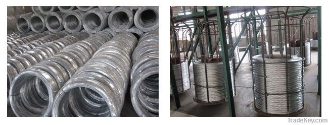 Black Annealed Wire