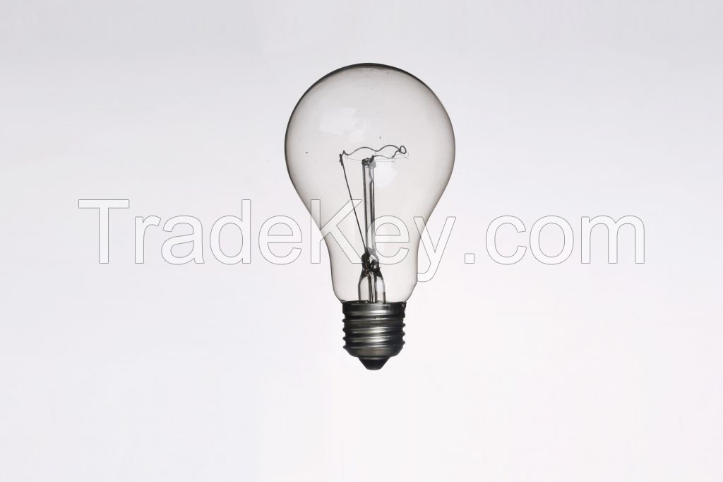 Incandescent Bulb 110v/220v