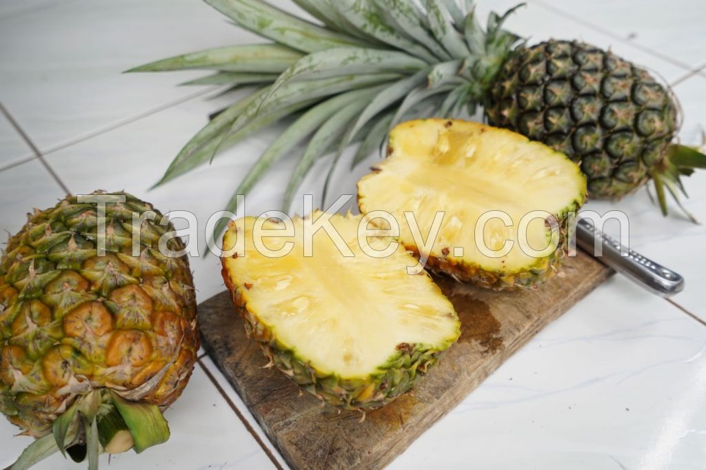 Fresh Pineapples