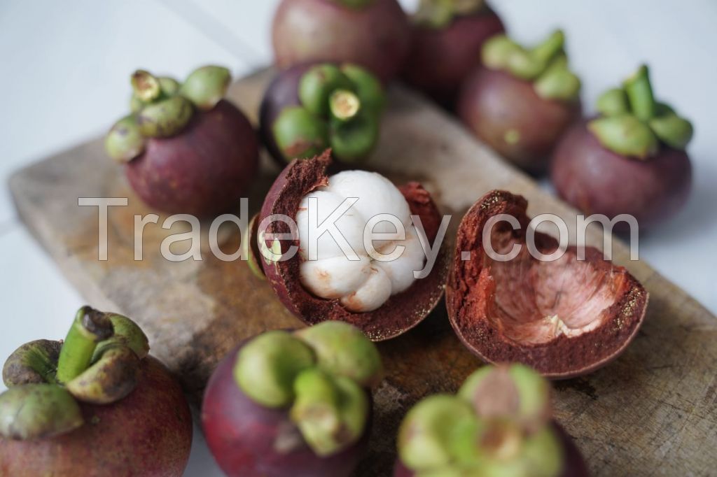 Fresh Mangosteen From Indonesia