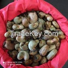 cashew nut