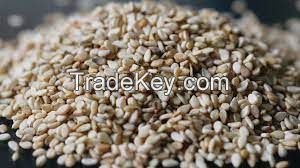 sesame seeds