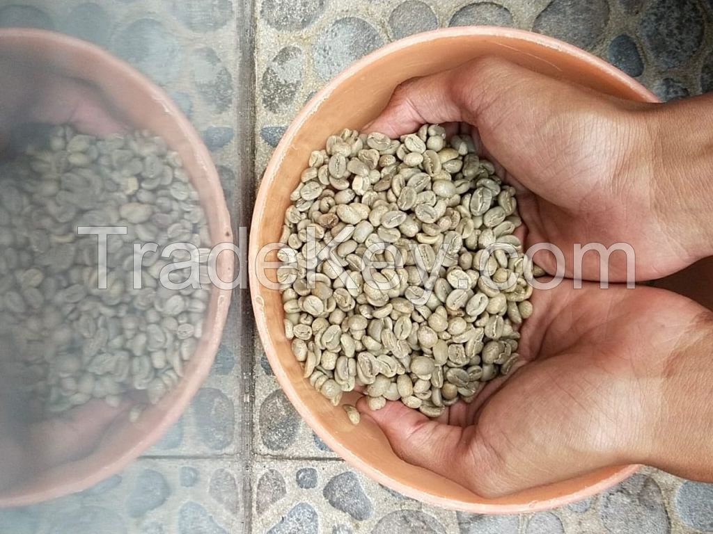 Arabica Coffee Been (Kintamani)
