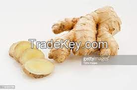 Fresh/Dried Ginger