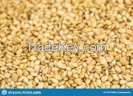 Sesame Seeds