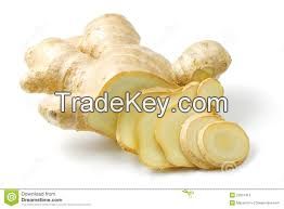 Fresh/Dried Ginger