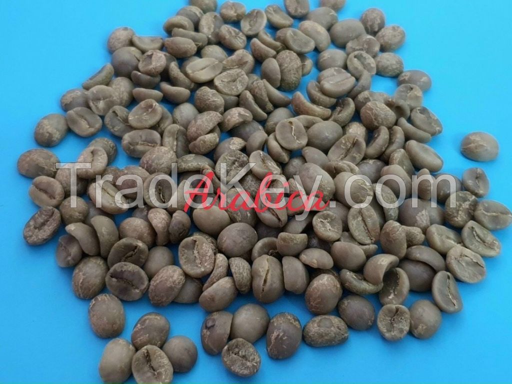 Arabica coffee beans