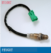 oxygen sensor(BY1007)