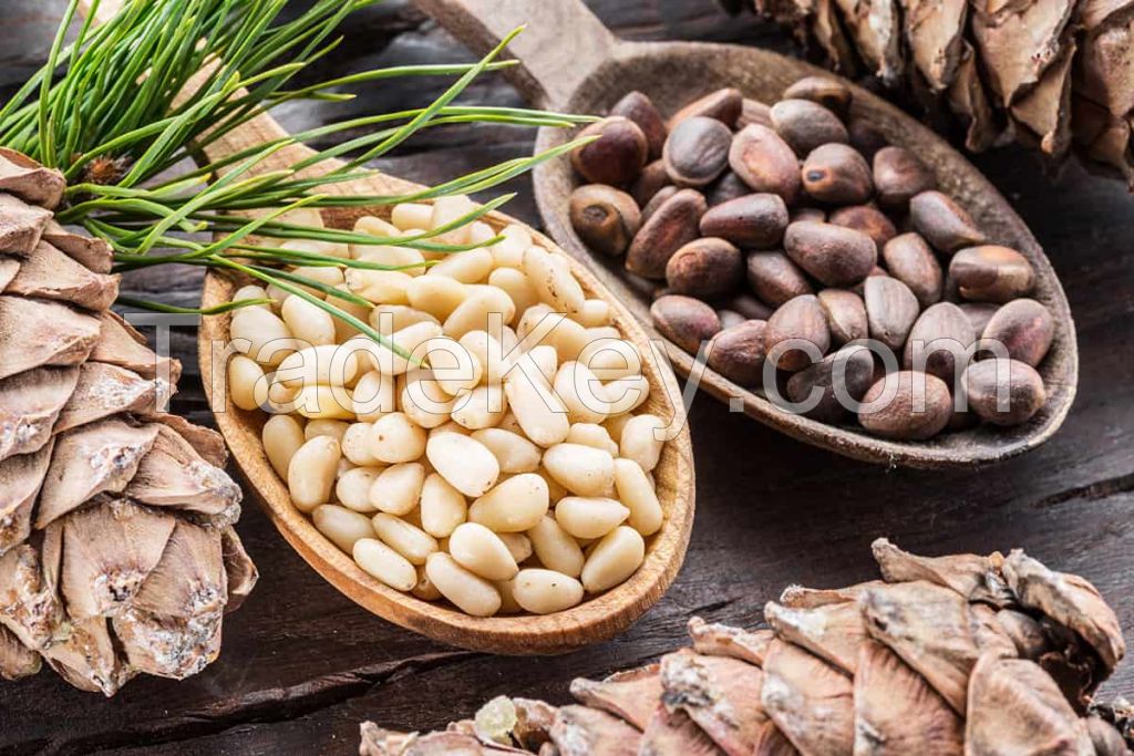 zazai ltd pine nuts