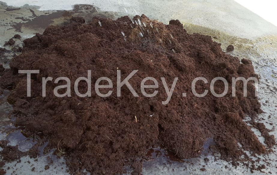 Cocopeat