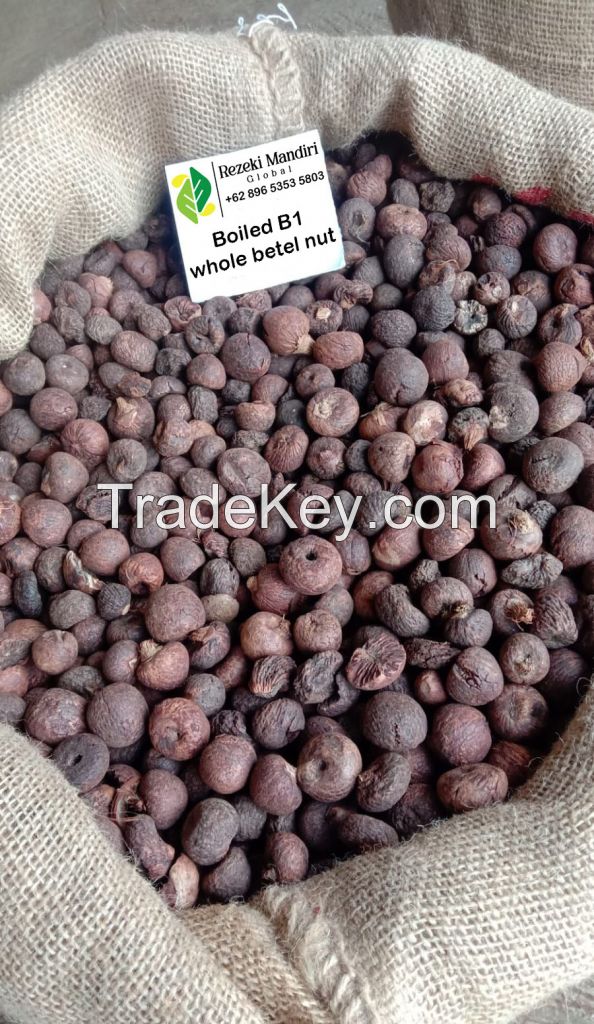 The Best Quality Boiled Betel Nuts From Indonesia