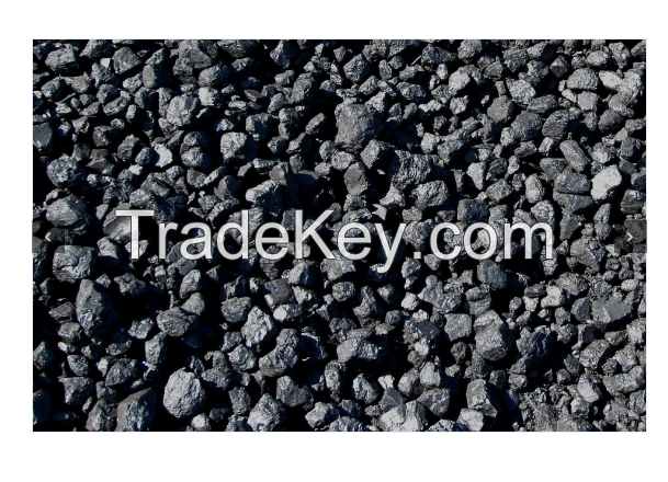  Petroleum Coke,