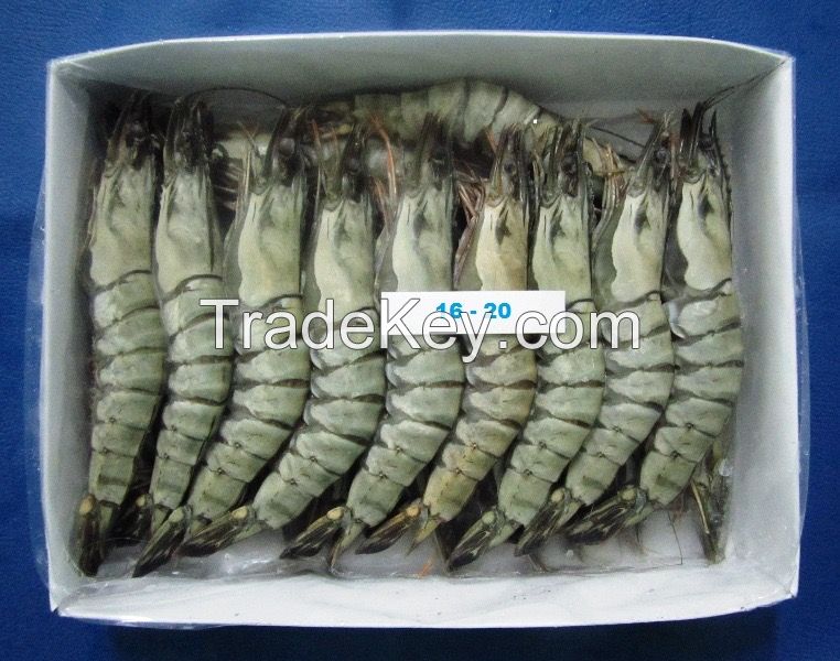 Frozen Black Tiger and Vannamei Shrimp