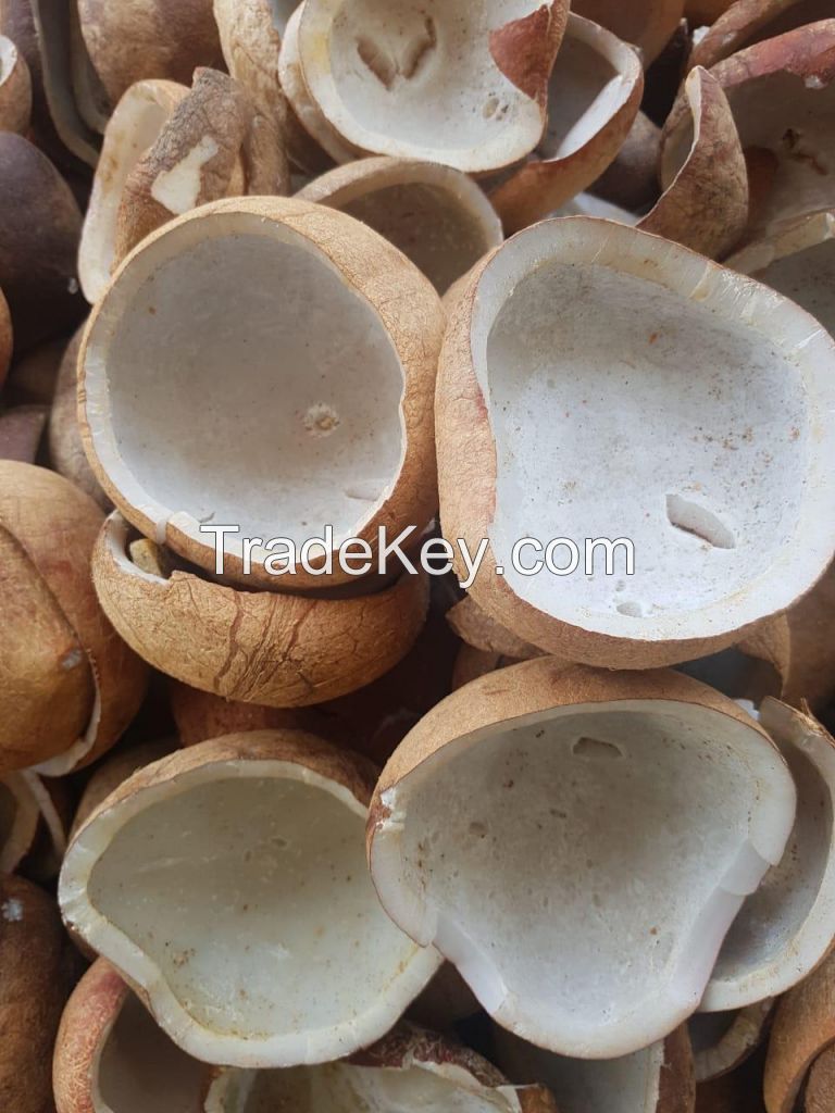 fresh coconut,Betel Nuts,white copra,coconut Shell Charcoal