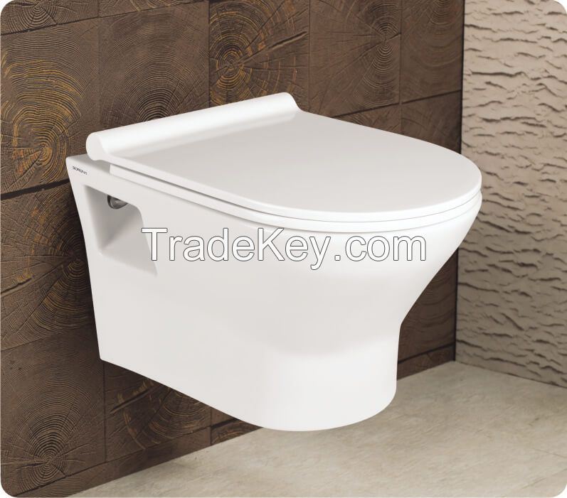 Wall hung water closet