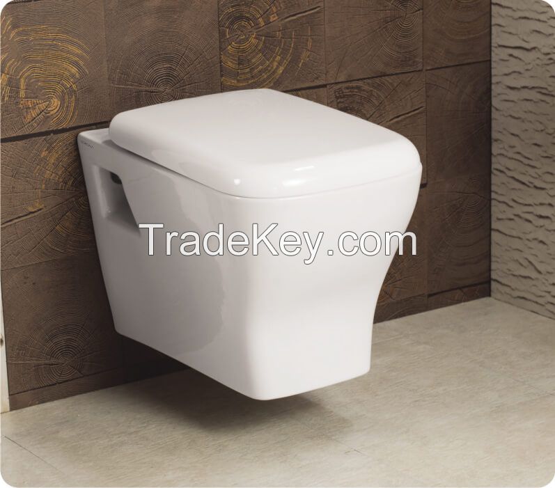 Wall hung water closet