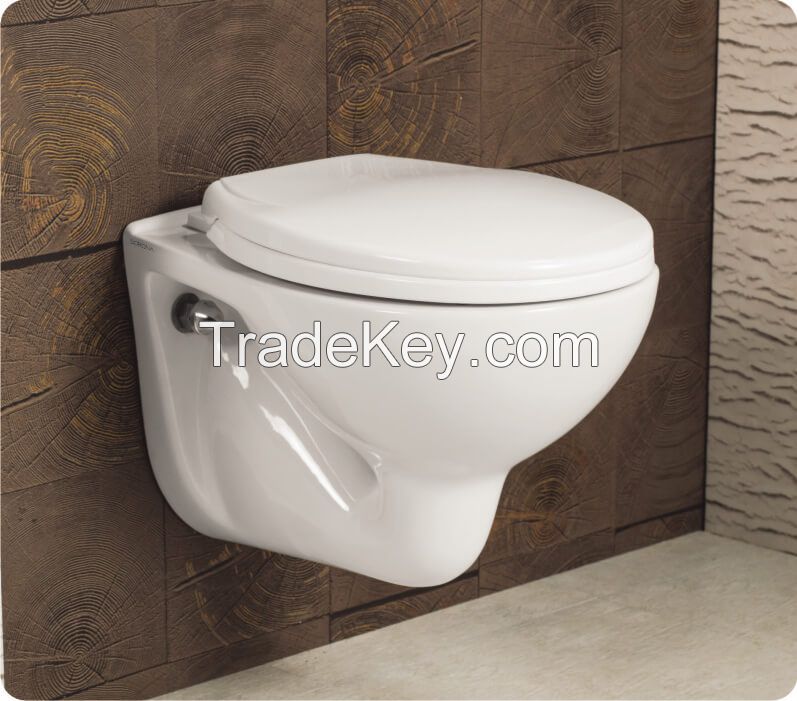 Wall hung water closet