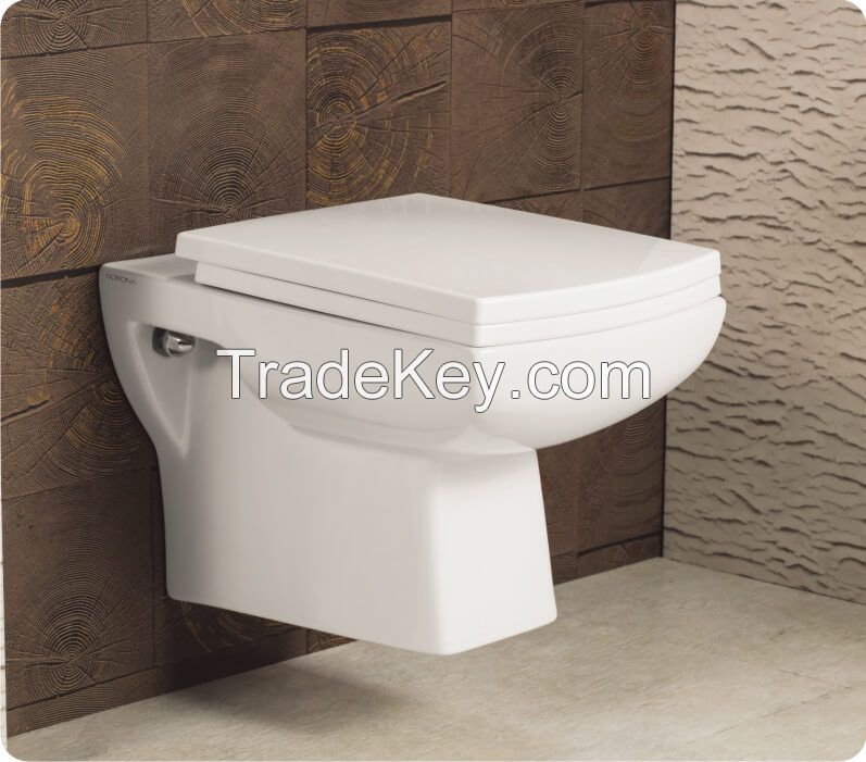 Wall hung water closet