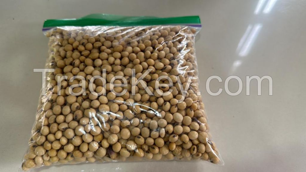 Offer for the Sale Non-GMO Soybeans