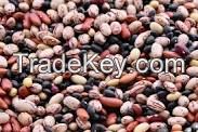 Quality red and black beans for sale