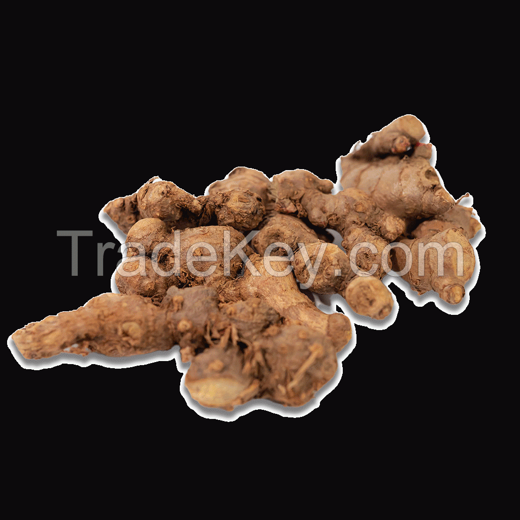 Ginger and Red Ginger, the Best Quality Natural Spice from Indonesia