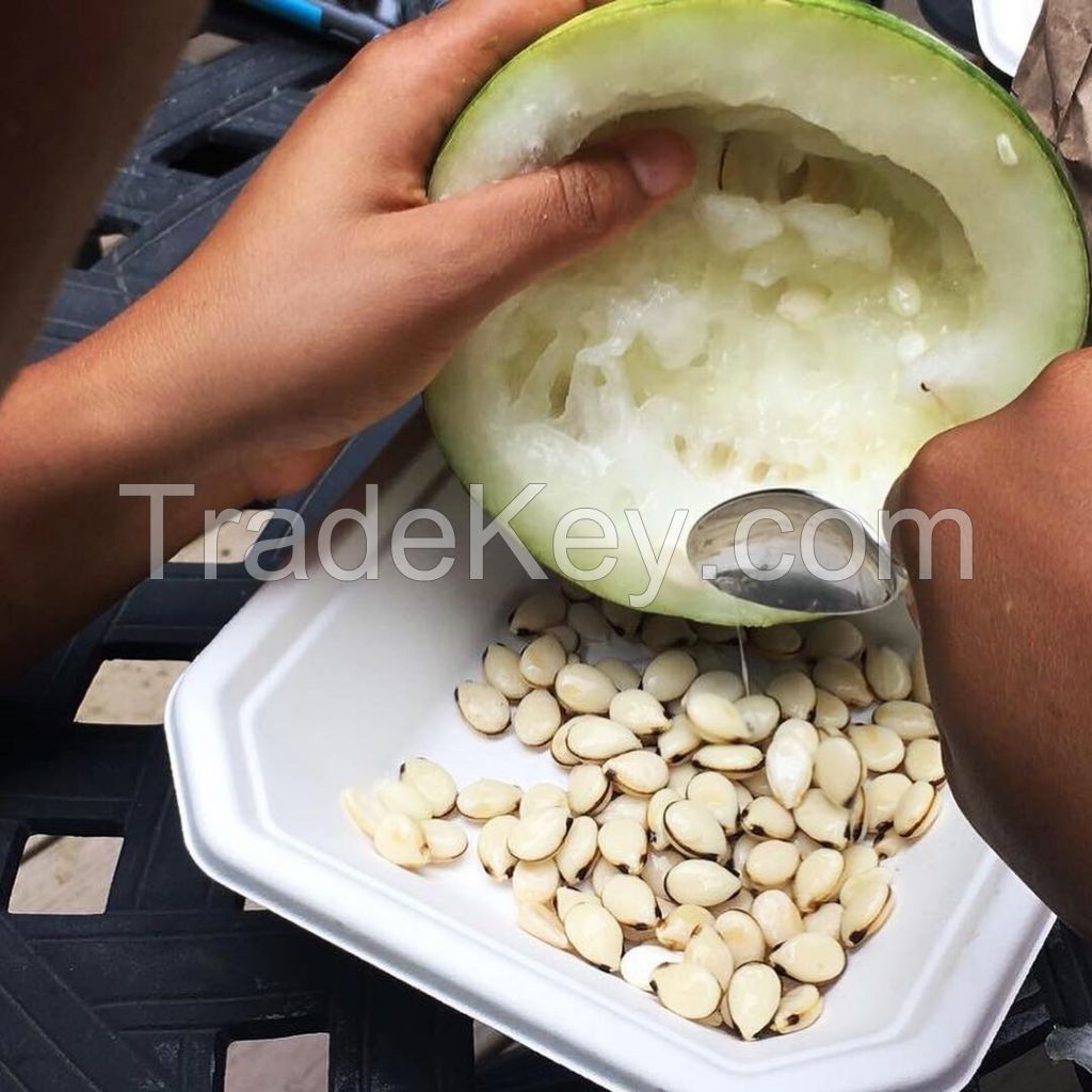 Egusi Melon Seed