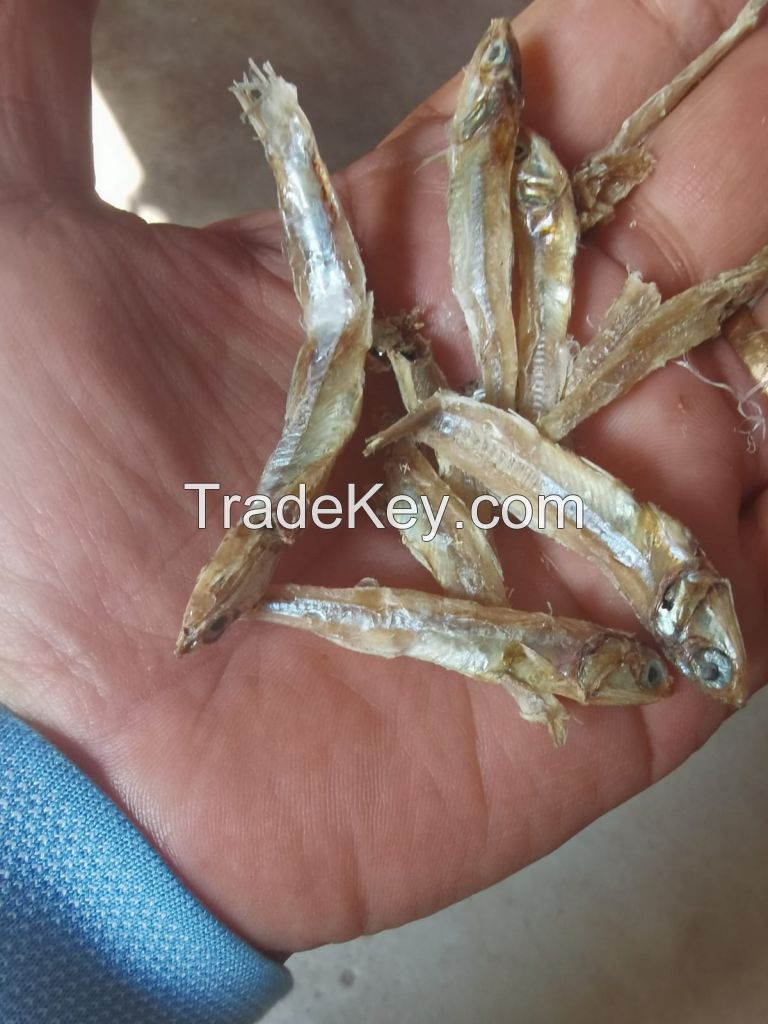 Dried anchovies