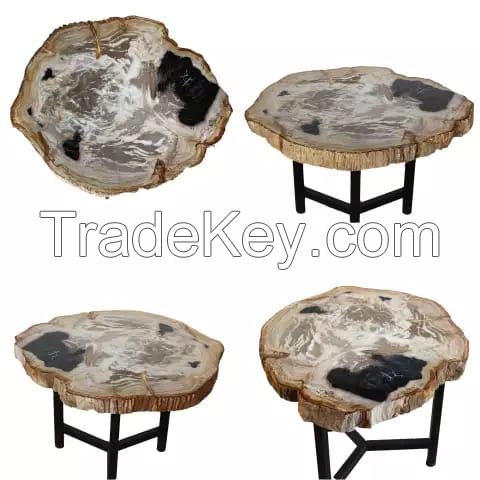 petrified wood coffe table