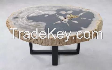 petrified wood coffe table