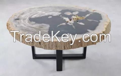 Petrified Wood Coffe Table