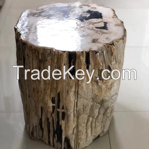 Petrifiedwood Stol