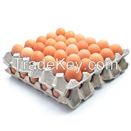 Best Quality Fresh Brown Table Chicken Eggs 