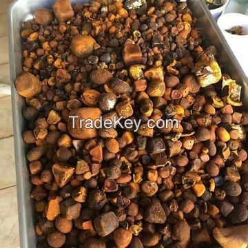 Cattle Gallstones, Cow Gallstones, Ox Gallstones