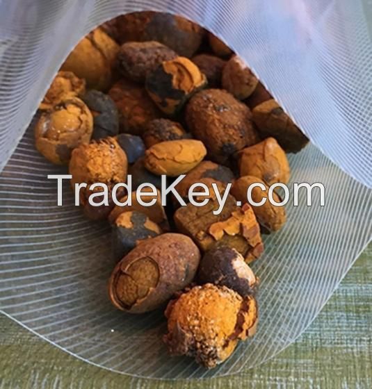 Quality Dried Cow Ox Gallstones / Cattle gallstones