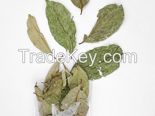 Dry Red Ginger, Dry Noni, Indonesian Bay Leaf, Moringa Leaf