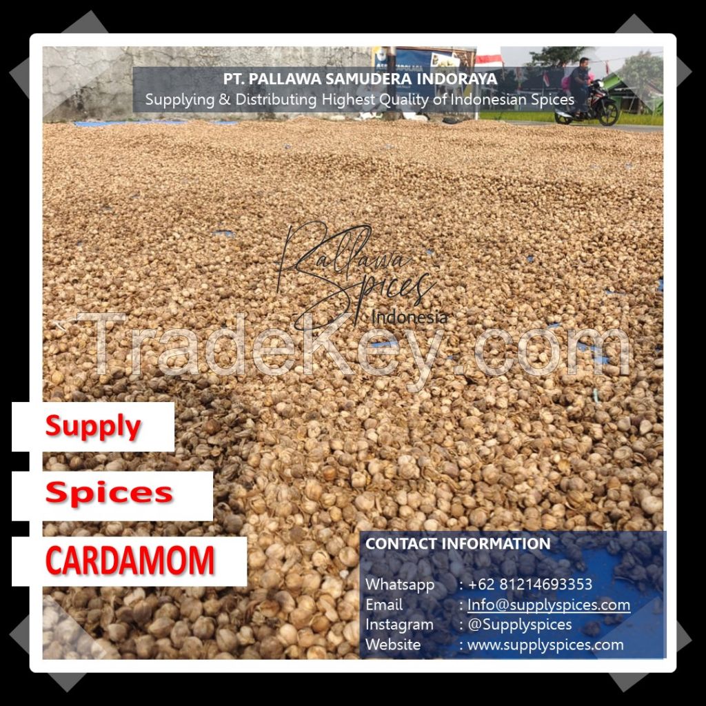 High Quality CARDAMOM from Indonesia