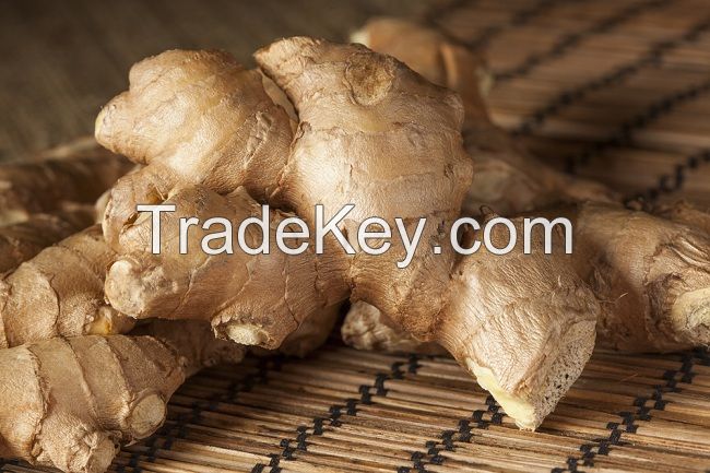 Best Quality Fresh Ginger from Indonesia