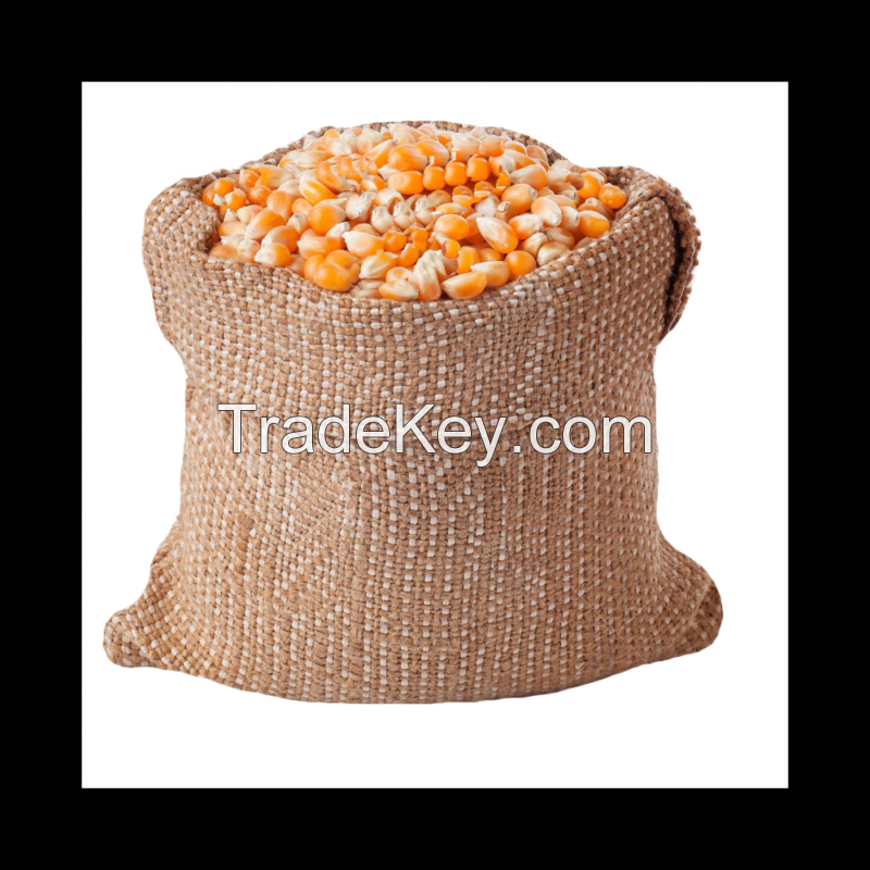 Yellow Maize/Corn for Human Consumption and Animal Feed