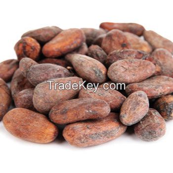 Cocoa Beans Dried Raw & Fermented Cacao