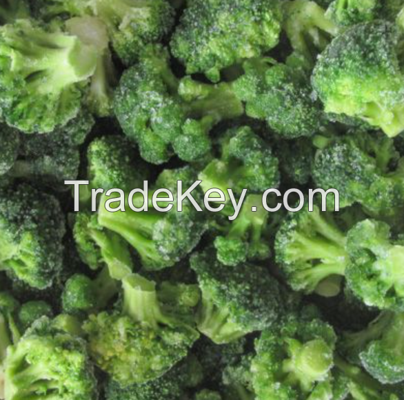 Fast Delivery Natural Frozen Fresh Broccoli