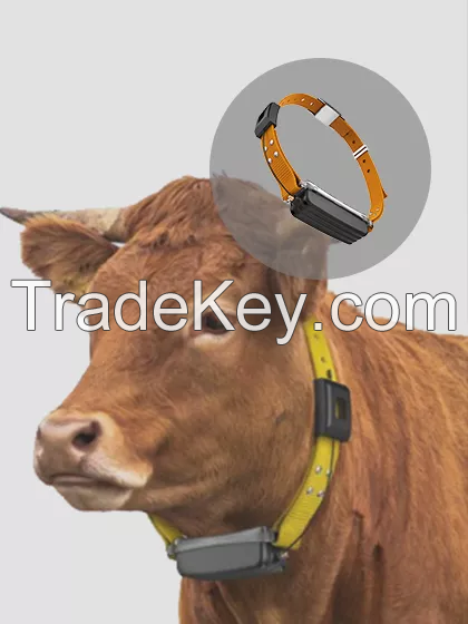 LoRa GPS Cattle Tracker