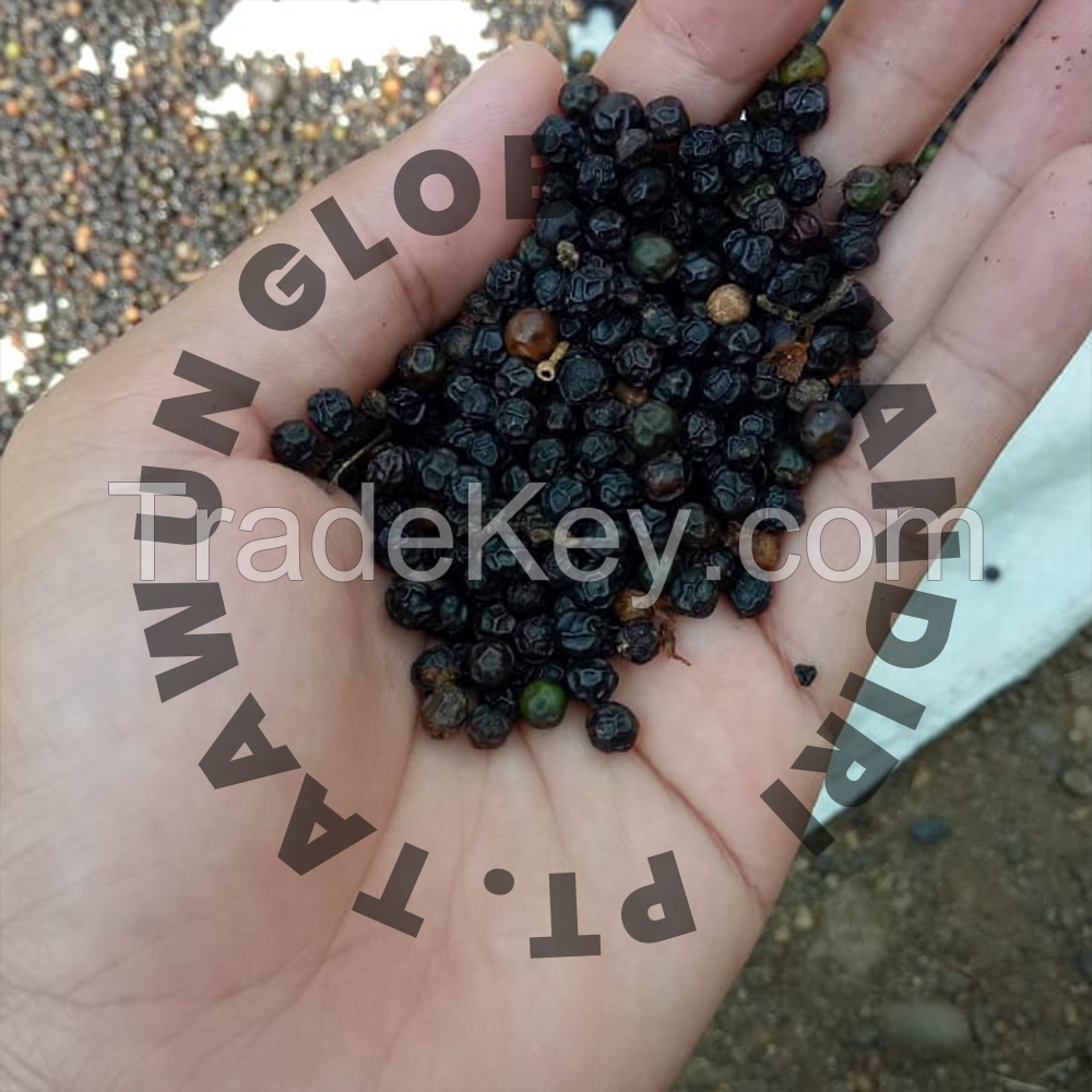 Black Pepper from Indonesia