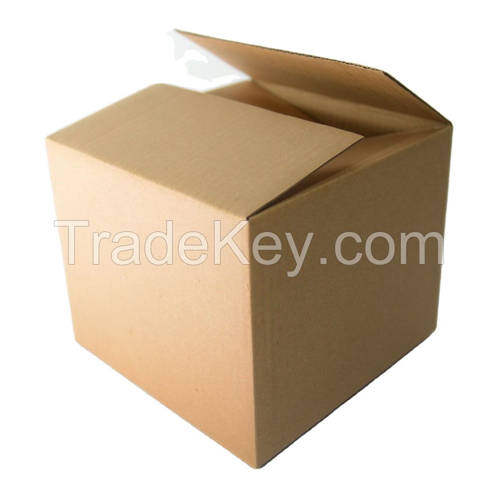 Disposable Corruagted Carton Box Packaging