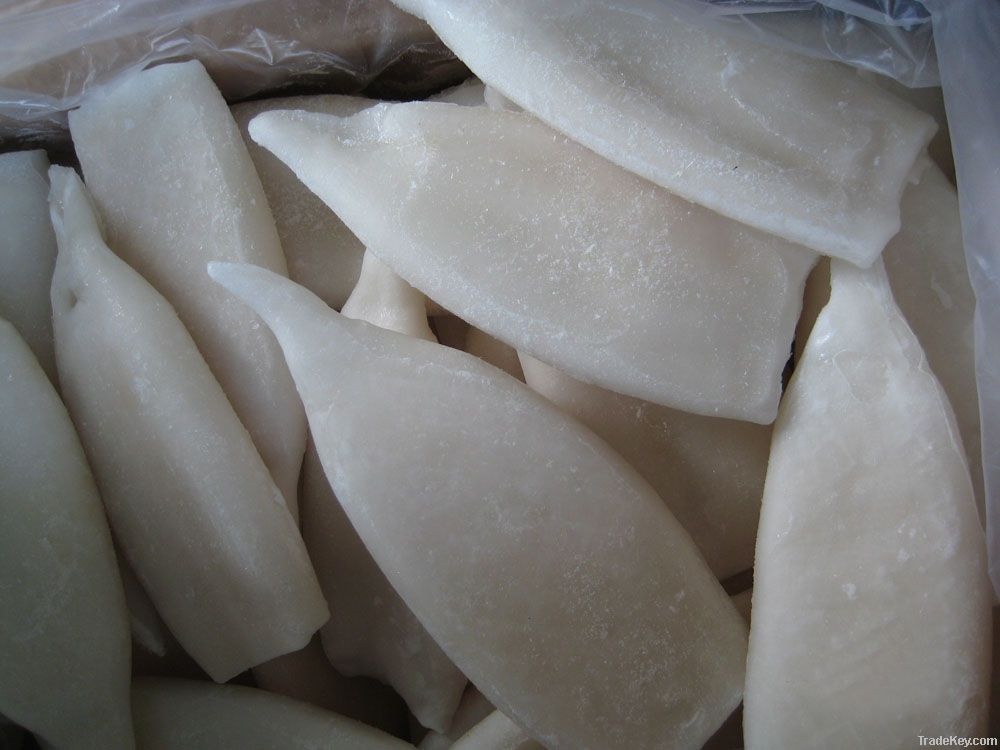 frozen squid products