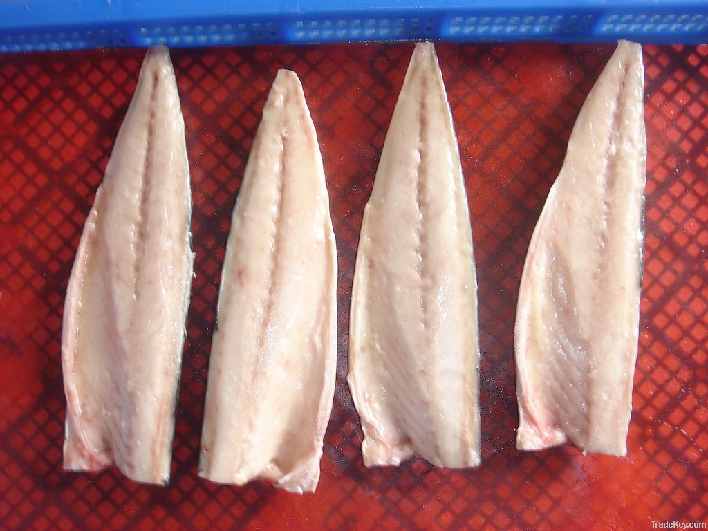 Mackerel fillets