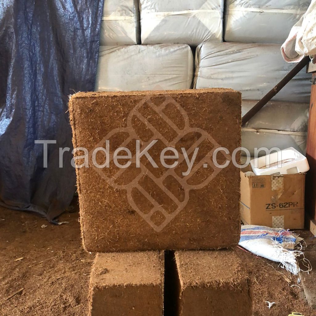 Indonesian Coco Peat / Coir Peat By EASTURA